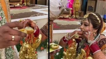 Bride and Groom have unusual first meal, eat golgappa in viral video