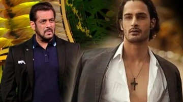 Bigg Boss 15: Umar Riaz fans come together after Salman Khan's thrashing on weekend ka vaar, One Man Army Umar trend on Twitter