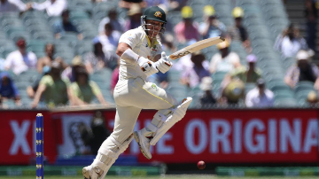 David Warner smashes a Century in his 100th Test match - Sports Newsmytra