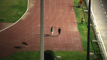 Athletes asked to leave the stadium for AIS's dog walk