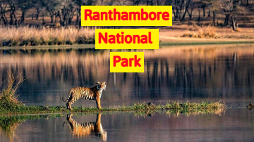Ranthambore National Park - A complete Guide