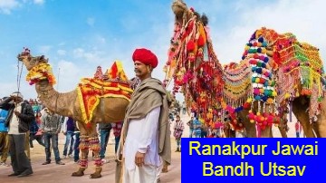 Rajasthan: Ranakpur Jawai Bandh Utsav to begin from 22 December