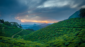 A tour of the Lush Green Paradise in Kerala | Travel Kerala
