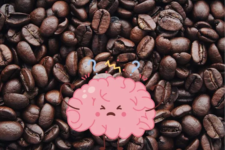 How Coffee Affects Your Brain During Sleep: New Study Reveals What Really Happens