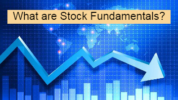 What are Stock Fundamentals? All explained Here.