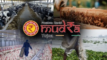 Pradhan Mantri Mudra Yojana: 10 lakh loan to non-agricultural sector businesses, read the terms for growing businesses