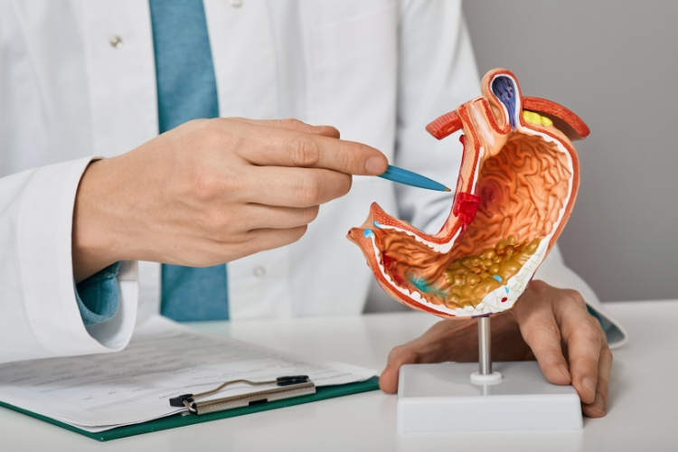 Top Gastroenterologist Recommends Avoidance of the Trio of Foods for a Healthy Liver