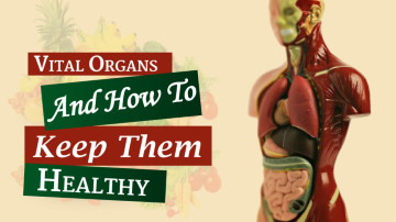 Top 5 Easy Ways to Care for Your Vital Organs - Healthy Tips