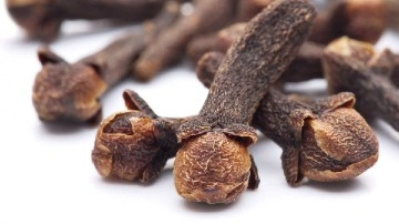 Cloves For Immunity