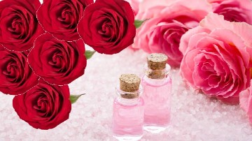 Beauty tips: Make fresh rose water for healthy skin at home. Read the process here