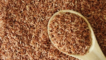 Is brown rice healthy? myth debunked by a health expert 