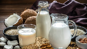 What are the different types of milk, and how to choose the right for dietary needs?