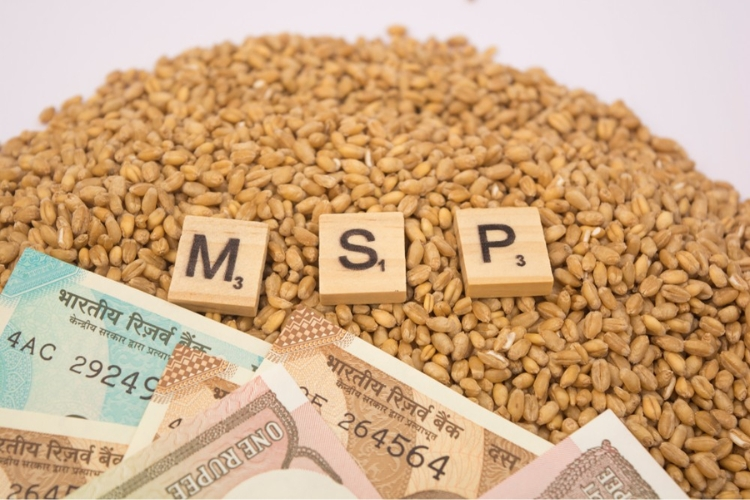 Cabinet Approves 1.5% Interest Subsidy Extension for Farmers in FY26
