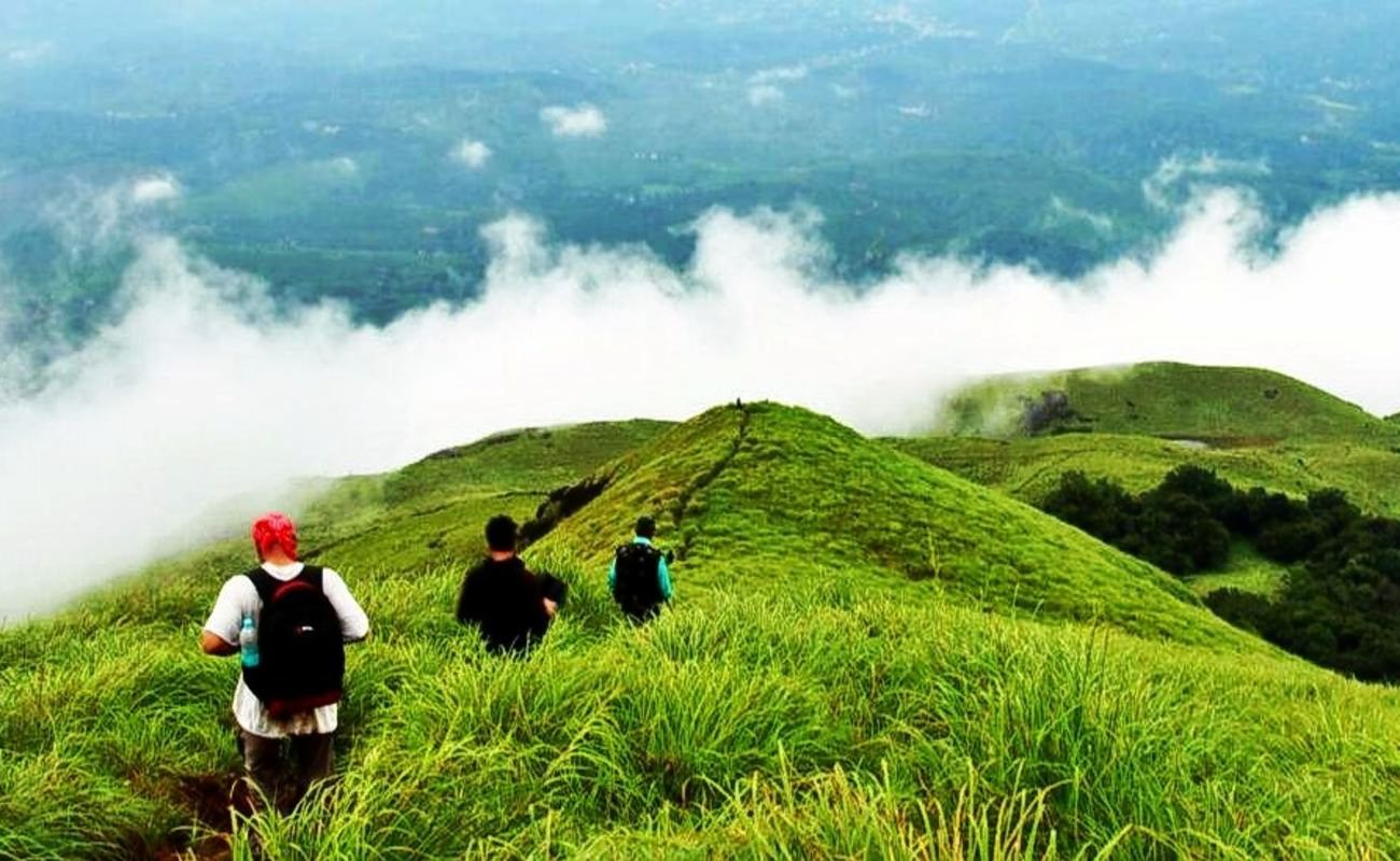 A tour of the Lush Green Paradise in Kerala | Travel Kerala