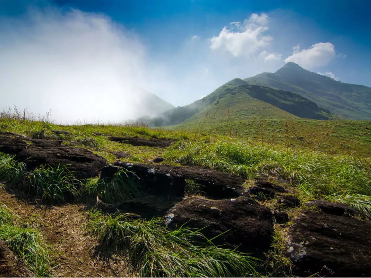 A tour of the Lush Green Paradise in Kerala | Travel Kerala