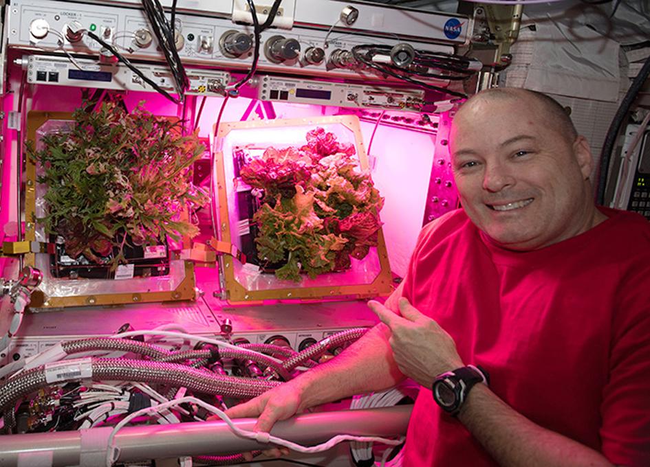 Why Are Astronauts Growing Vegetables in Space? The Real Reason Fresh Food Matters Beyond Earth