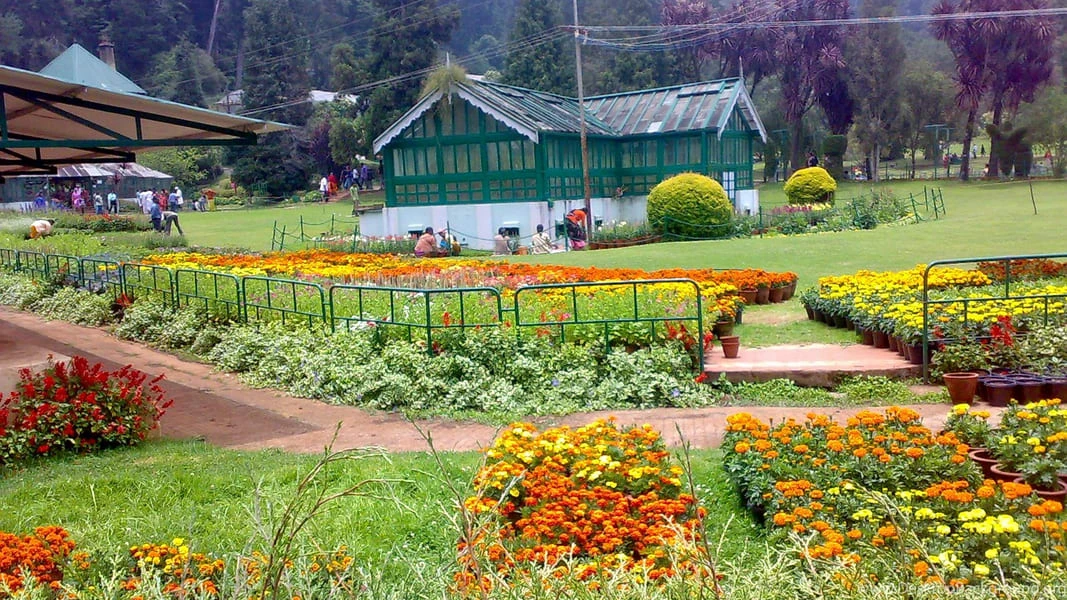 Ooty: Must do Checklist with family and friend | Tamil Nadu Travels