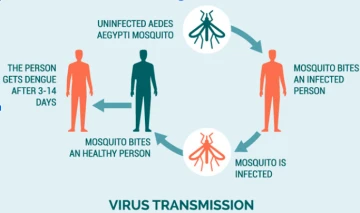 Upcoming Seasonal Illness to Protect Against | Monsoon Season Wellness