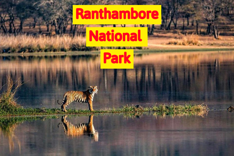 Ranthambore National Park - A complete Guide