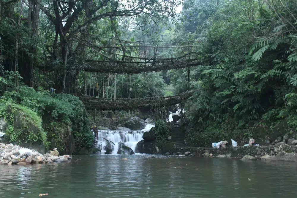 7 Most Dangerous Bridges Around the World - Risky Path