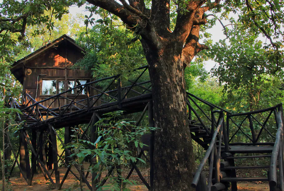 Popular jungle Resorts in India - Travel India