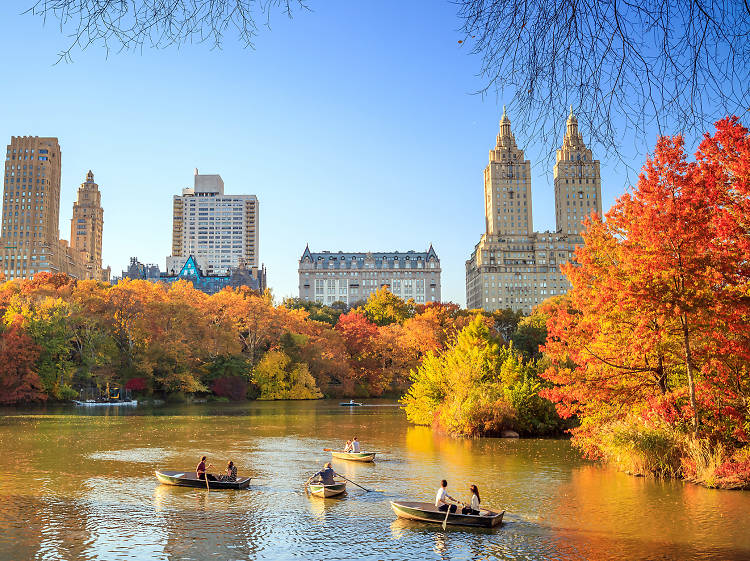 Top Places to See the Beautiful Fall Foliage - News Mytra Travels