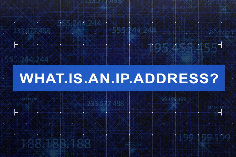 What is an IP address and how does it Work?