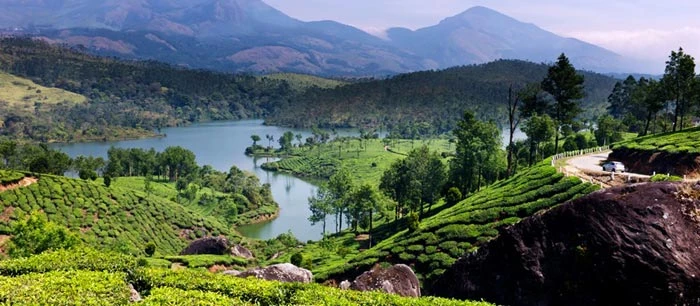 Britishers' Holiday Spot in the South You must visit | travel Munnar