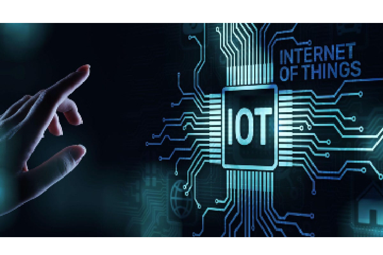 What is the Internet of Things (IoT) and How does it Work?
