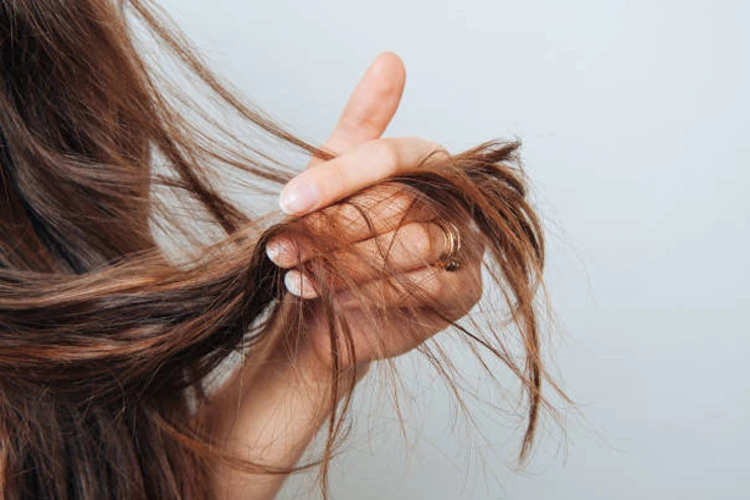 Worried about hair damage? Natural tip to repair and prevent damage