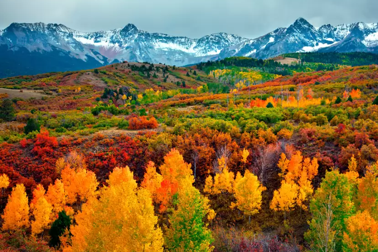 Top Places to See the Beautiful Fall Foliage - News Mytra Travels