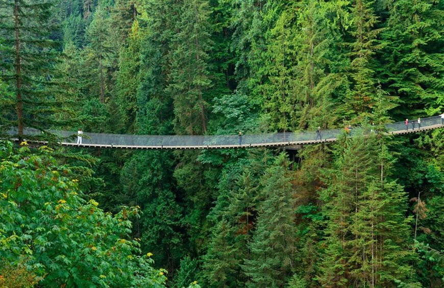 7 Most Dangerous Bridges Around the World - Risky Path