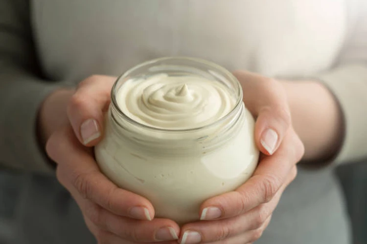 Best taste Homemade Mayonnaise Recipe in a few easy steps