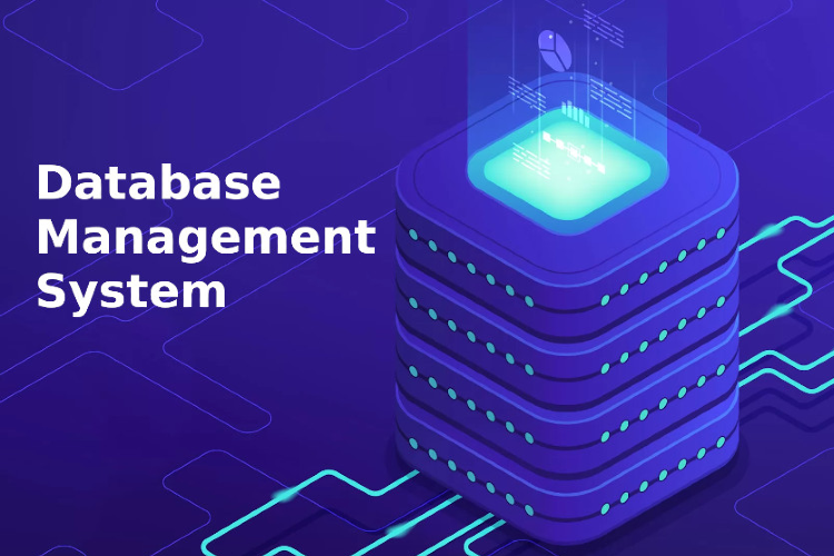 6 Reasons why you need a Database Management System