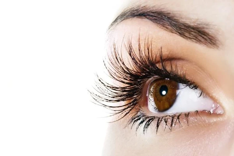 Importance of Eyelashes- Why do We Need Them? And Link with Beauty