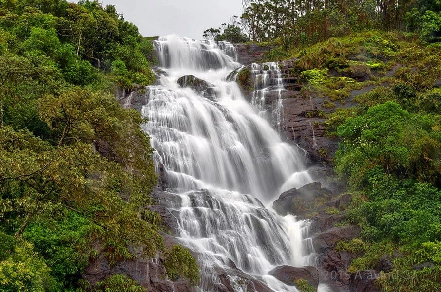 Britishers' Holiday Spot in the South You must visit | travel Munnar