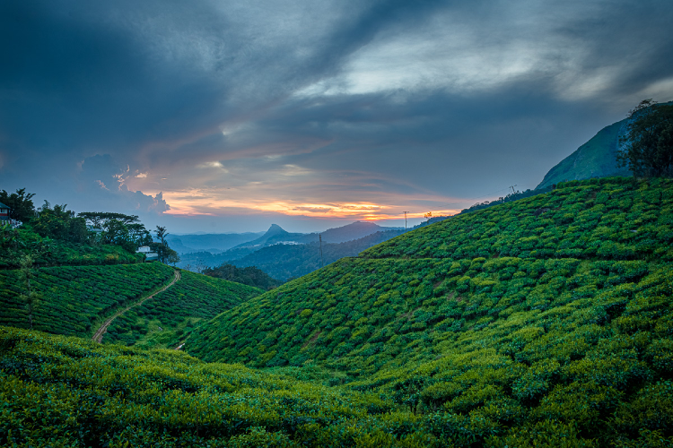 A tour of the Lush Green Paradise in Kerala | Travel Kerala