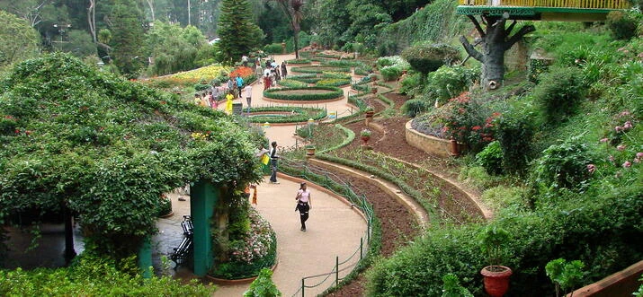 Ooty: Must do Checklist with family and friend | Tamil Nadu Travels