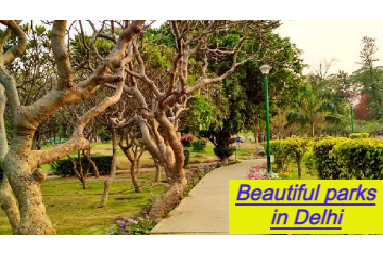 5 Beautiful Parks in Delhi to Go and Spend time and Chill with Your Loved ones - Delhi Travels