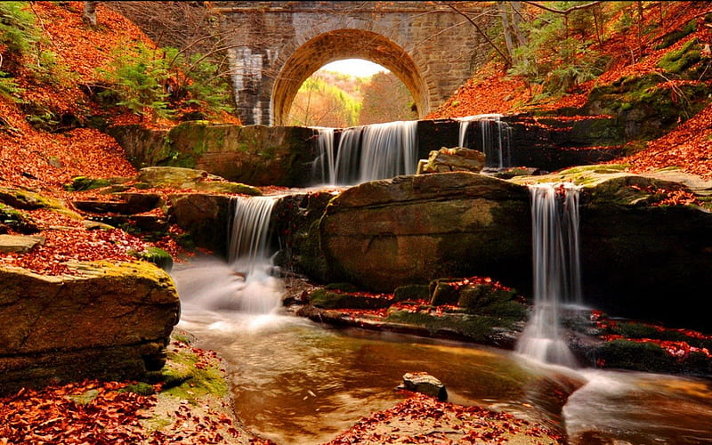 Top Places to See the Beautiful Fall Foliage - News Mytra Travels