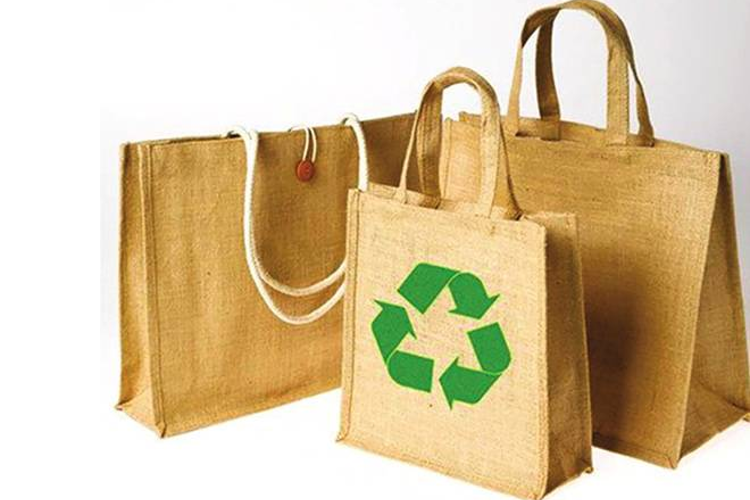 Top 4 Eco-friendly alternatives for Plastic bags | Newsmytra