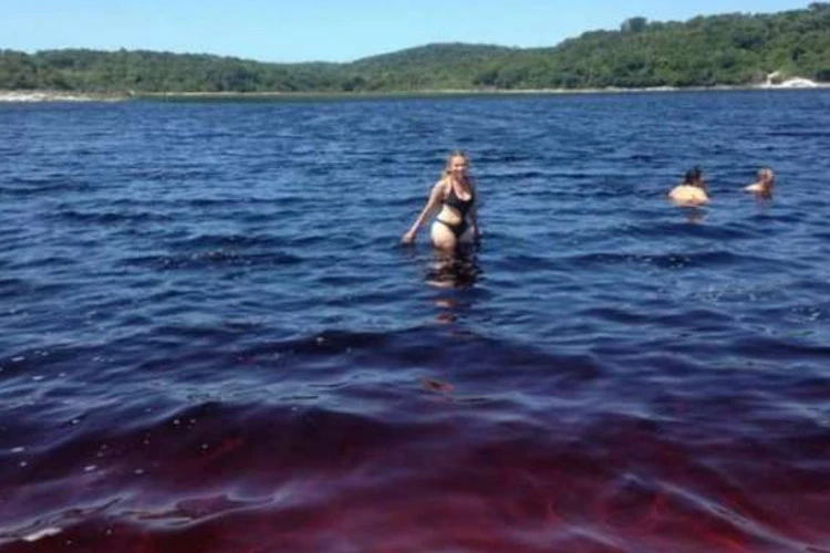 This Coca-cola lake has become the new hotspot for all the tourists is brazil