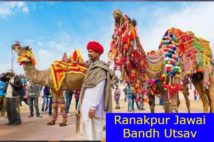 Rajasthan: Ranakpur Jawai Bandh Utsav to begin from 22 December