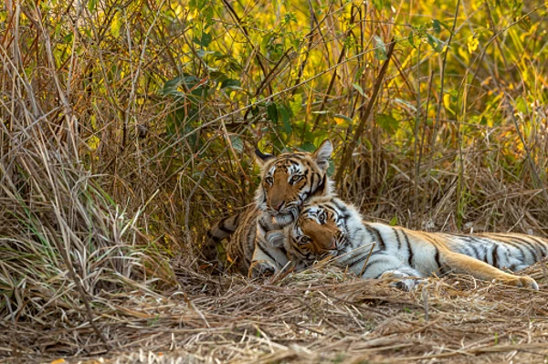 Top 9 bird watching destinations you need to visit this season