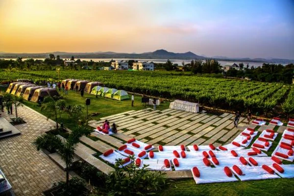 Top 5 vineyards in India where you need to go for wine tasting