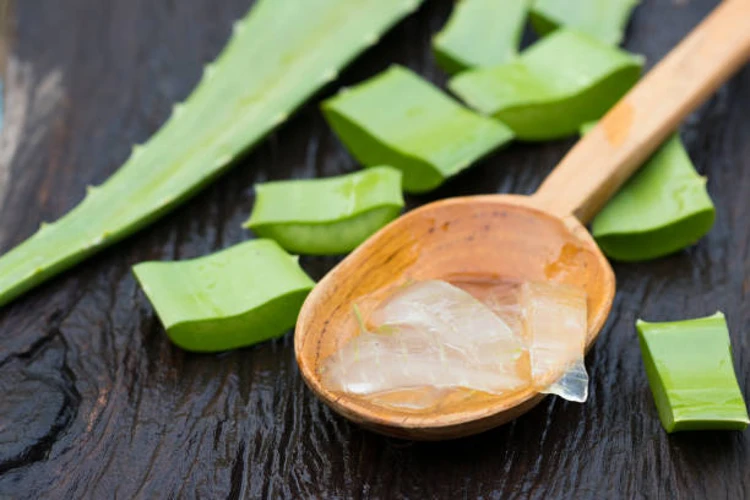 Aloe vera - A guide to use health benefits and risks. 