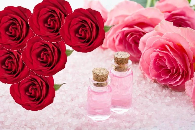 Beauty tips: Make fresh rose water for healthy skin at home. Read the process here