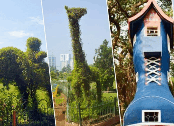 Hnaging Garden