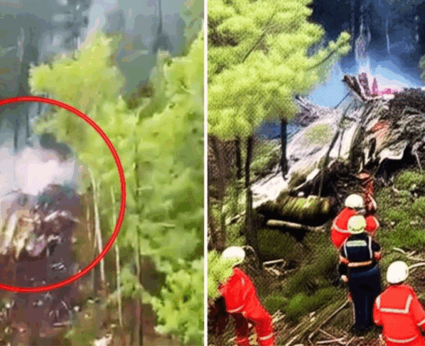 Russian Antonov An‑24